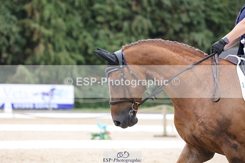 250718A-133028-01527 - 072-Emma.Trace-Laddenbrook.Truman