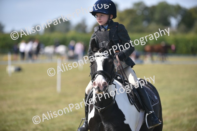20260906-1780 - Class 11 - 13hh and Under