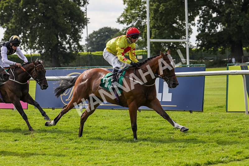 240624-Race 7-Kitsune Power-0522 - Race 7