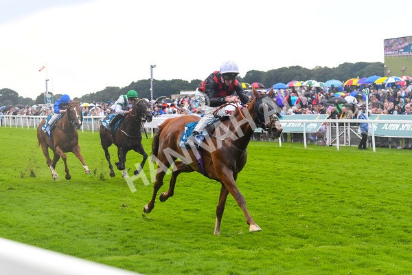 150723-Race 1-Blue For You-0088 - Race 1 2.00pm John Smith's Racing Handicap