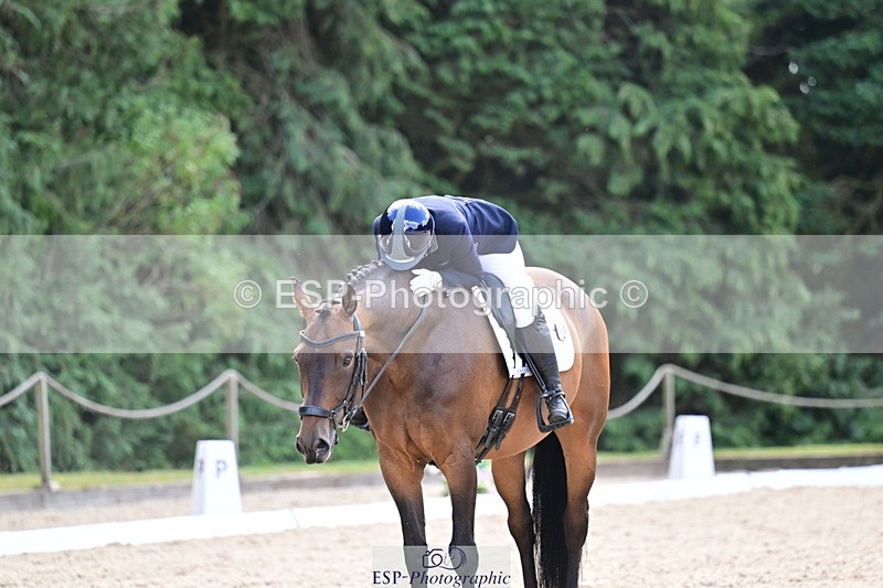 260731A-125314-00915 - Elementary Bronze Break- End