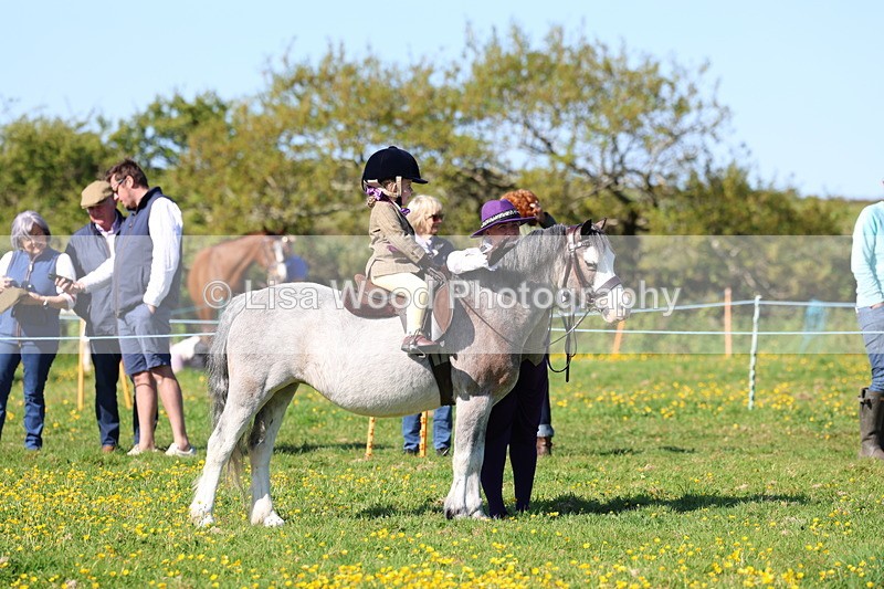 3E7A8895 - Class 2: Lead rein