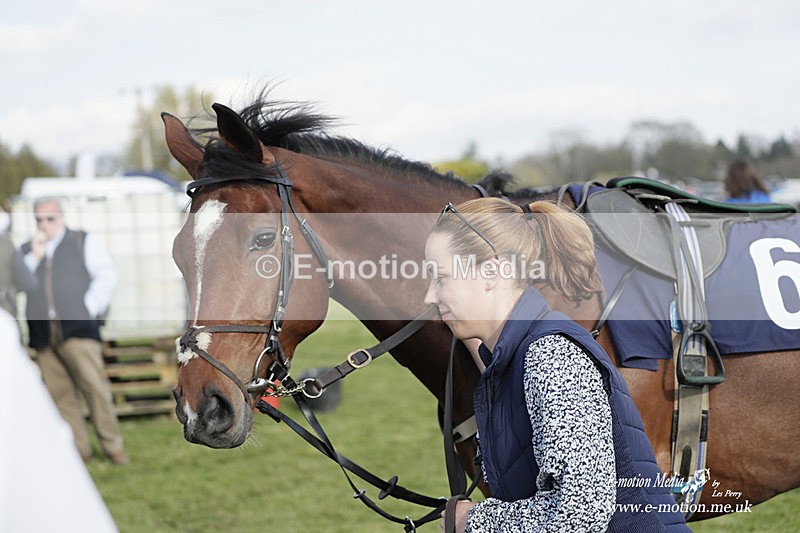 PtP 080423 894 - Dingley Races The Woodland Pytchley Hunt PtP 08/04/23