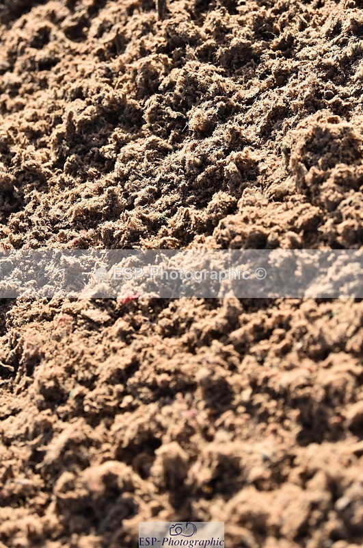 231101A-101306-00022 - Cls 1 British Novice