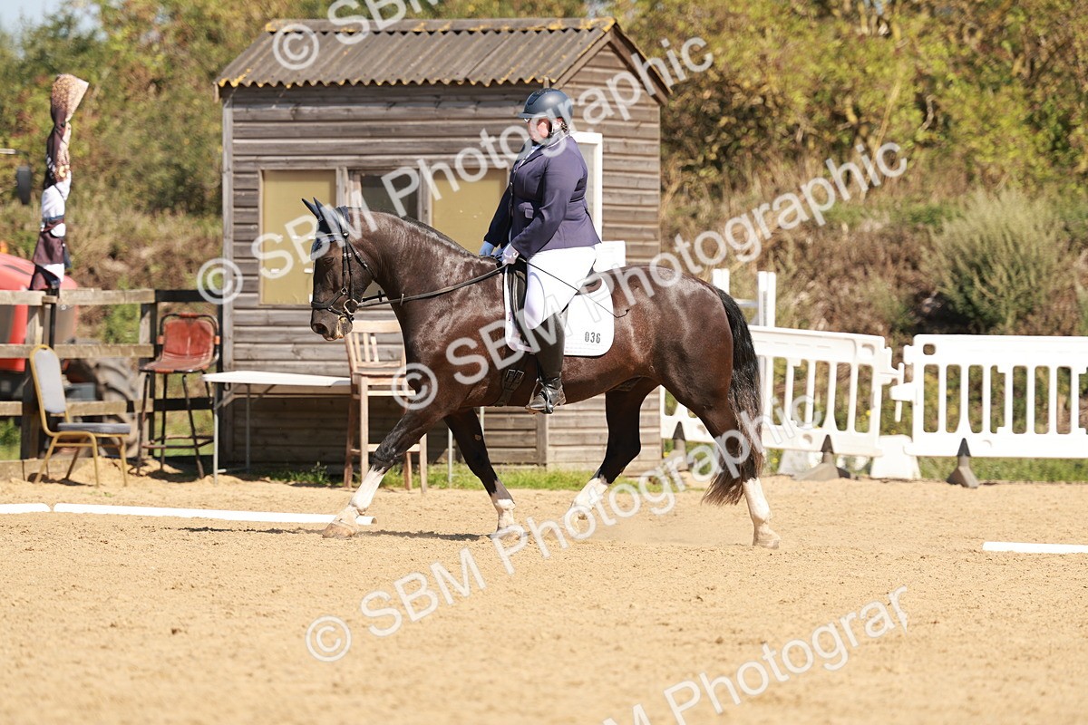 SBM_010878 - Class 3 - Prelim 2