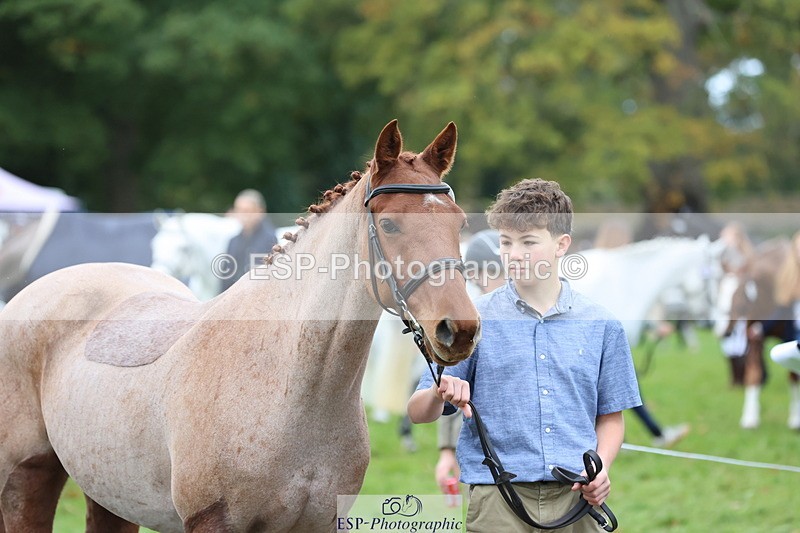 251026A-112848-25464 - F-403-Hugo.Moor