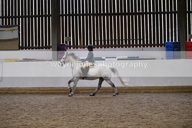 WJ5_7938 - Class 13 Ridden Part Breed