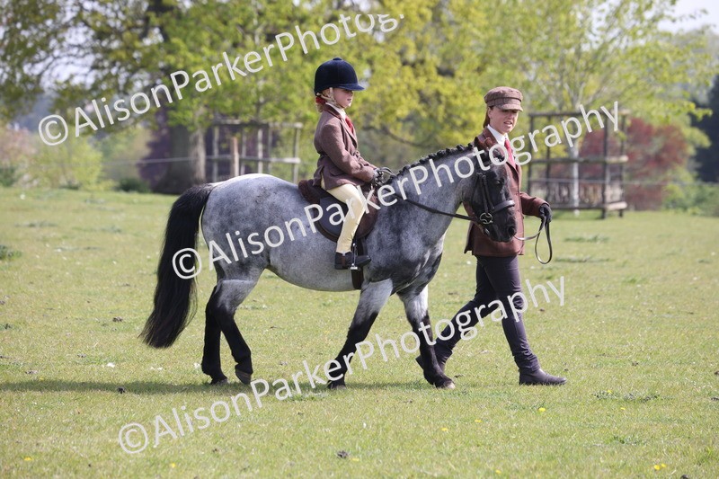 20260426-0605 - Class 31 - Leading Rein