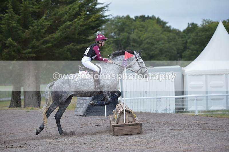 NGP_2441 - XC Time 11:37 to 11:57