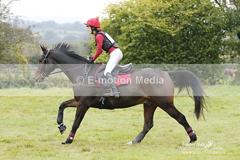  WWHT 171021 1118 - Open Novice (0.80m)  17/10/21