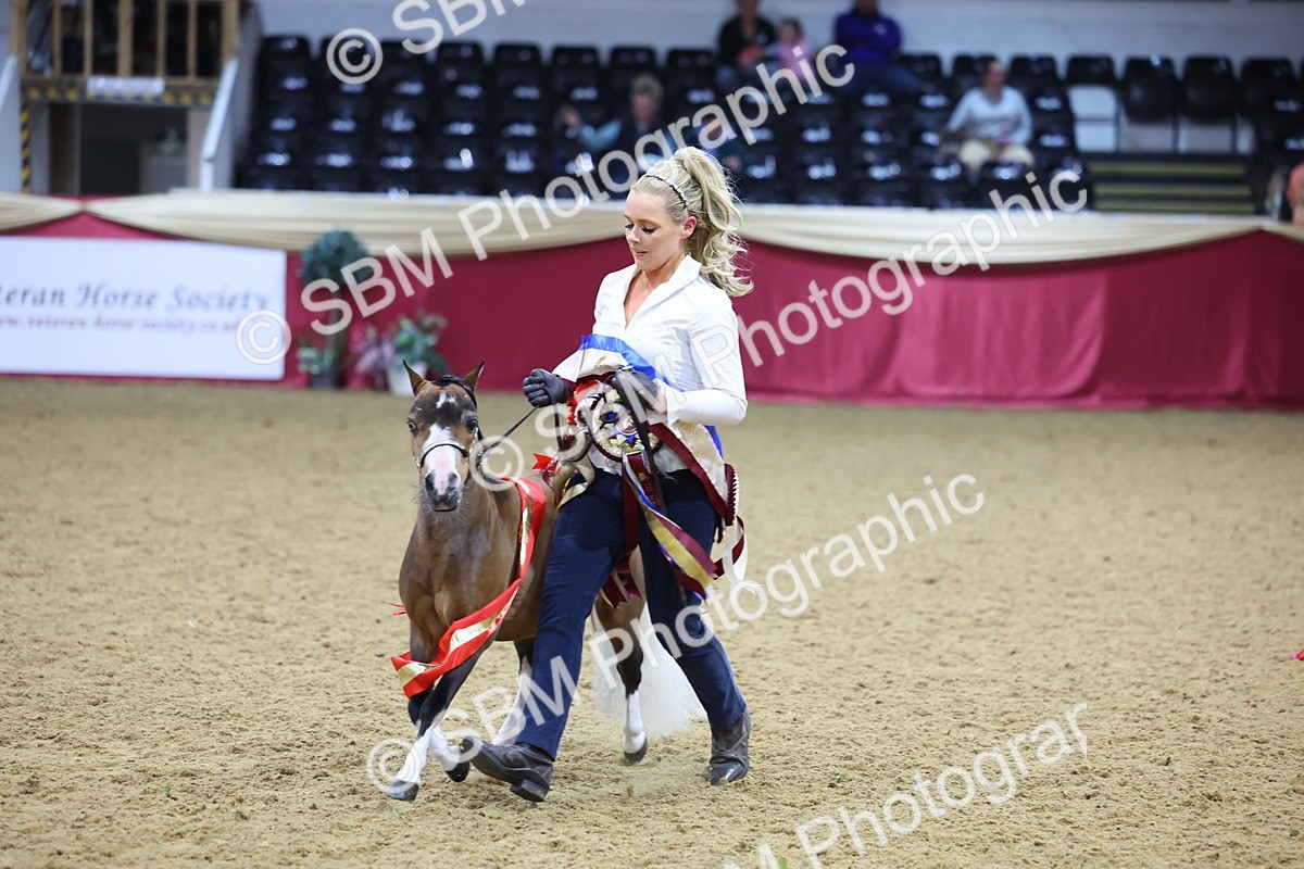 SBM_18746 - Class D IH Pony Champ