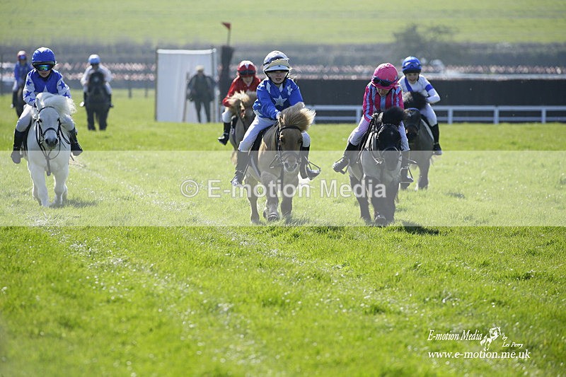 PtP 190322 3 - Wilton Hunt PtP Milborne St Andrew 19/03/22