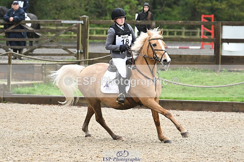 250418A-082020-00096 - NSEA GR 40cm and 50cm