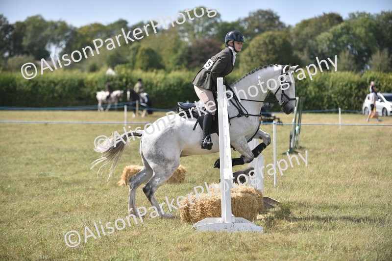 20260906-2689 - Class 13 - Working Hunter Horse or Pony
