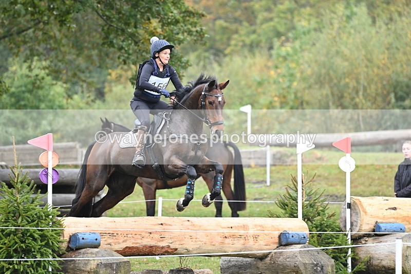 WJ6_2654 - 80cm Cam 1 Time 11:23 to 12:04