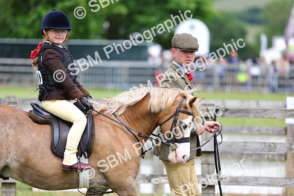 SBM_08058 - Class 42-43 - LIHS BSPS Heritage Working Sports Pony