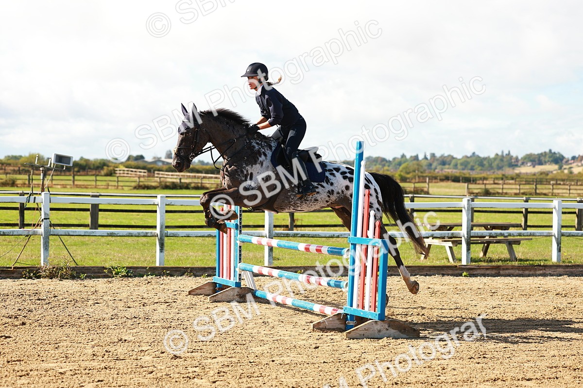 SBM_000390 - Class 2 - Senior British Novice - 90cm