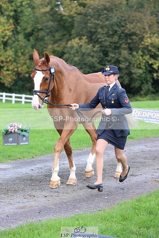 251026A-103307-23094 - E-387-Vittoria.Panizzon