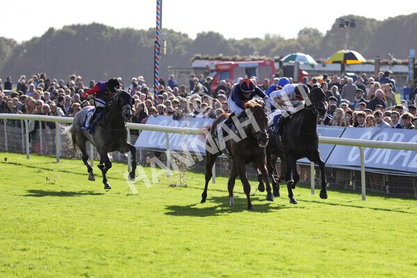 yr08102022r3-33 - Race 3 2.40pm The Coral 'Beaten-by-a-Length' Free Bet Handicap