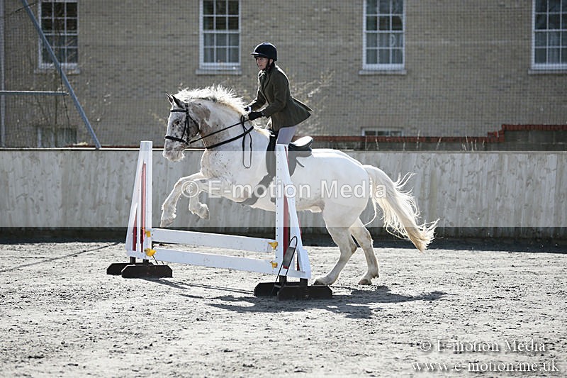 BVRC SJ 170319 131 - Bourne Valley Riding Club Showjumping 17/03/19