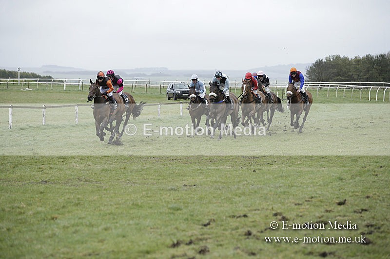 PtP 150320 0191 - New Forest Point-to-Point Larkhill 15/03/20