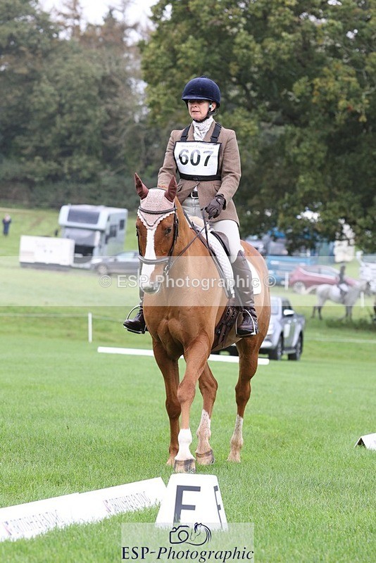 231019-105028-02452 - 607-RICO.III-Alison.Stewart-DR