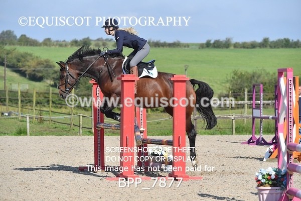 BPP_7877 - CLASS 3 Senior BritiNovice/ 90cm Open