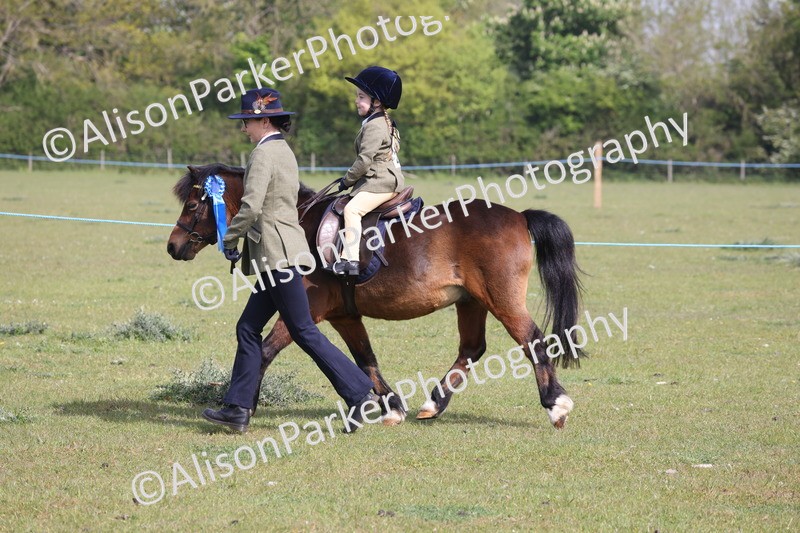 20260426-0548 - Class 30 - Tiny Tots Lead Rein