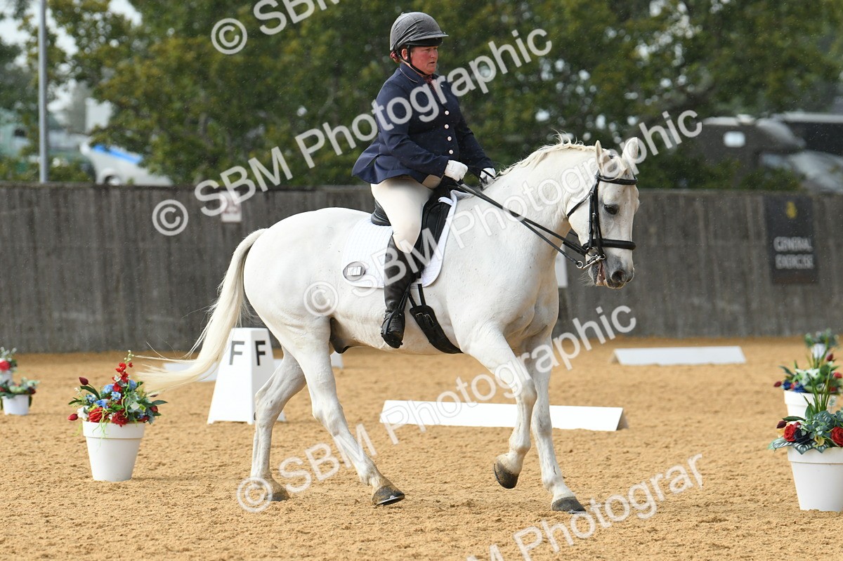 SBM_11130 - D28 Elementary Taster Elementary 42