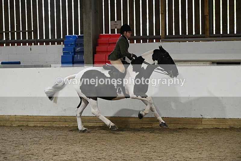 WJ7_4082 - Class 17 Ridden Cob