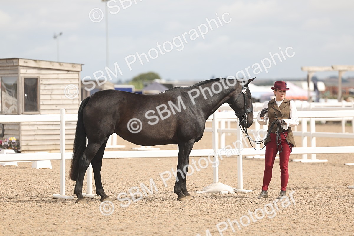 SBM_04909 - Class 20 - IH Veteran
