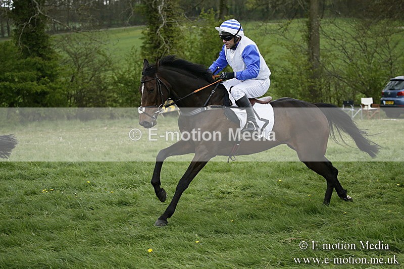 PtP 170417 523 - Old Berks Point-to-Point Lockinge 17/04/17