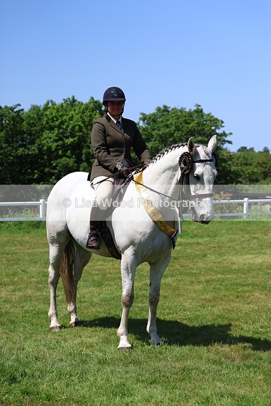 3E7A8127 - Working Hunter Championship