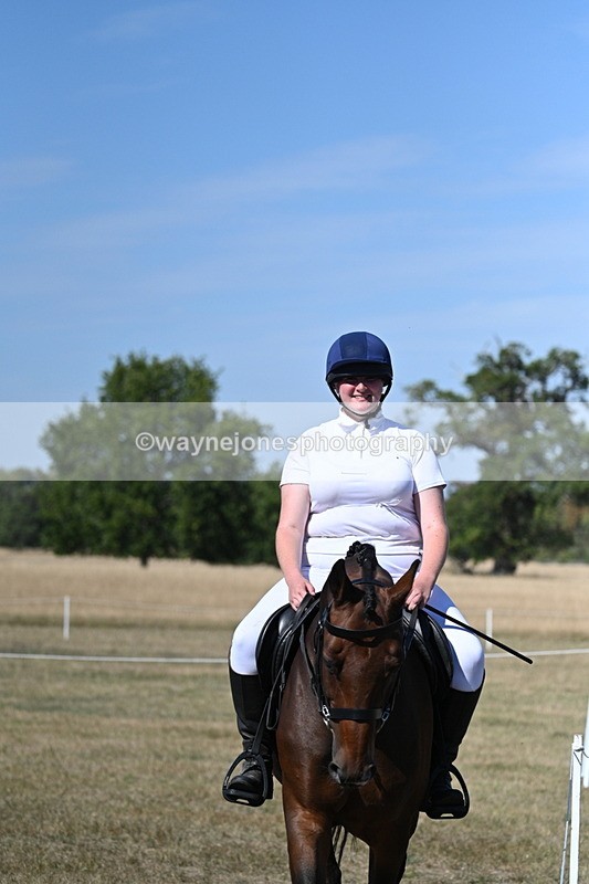 WJ7_1526 - Class 42 Most Handsome Gelding