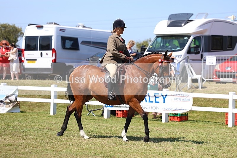 3E7A7455 - Rising Star Ridden Championship