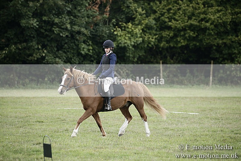 BVR090918 239 - BVRC Dressage and Show Jumping 09/09/18