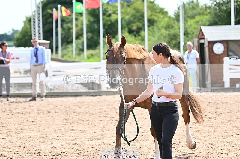 240717A-150756-02569 - Trot Up 3pm to 4pm