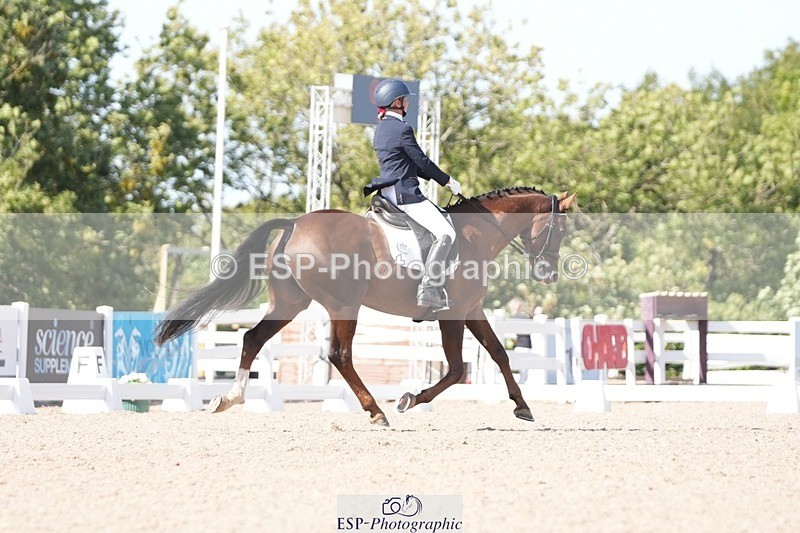 250906-150748-04664 - 108-Susan.JonesWoodlander.Summer.Breeze