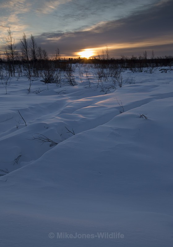 Sunrise, Karesuando, Northern Sweden - FINLAND & SWEDEN LANDSCAPES