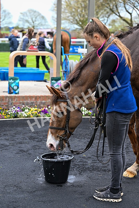 150426-Race 5-Elysian Flame-7322 - Race 5