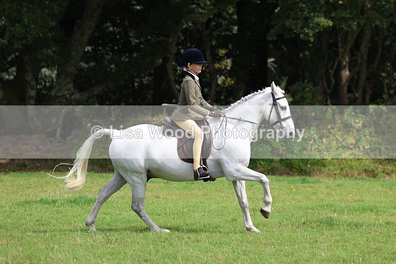 3E7A5861 - Class 26 and 27: 70cm Working Hunter
