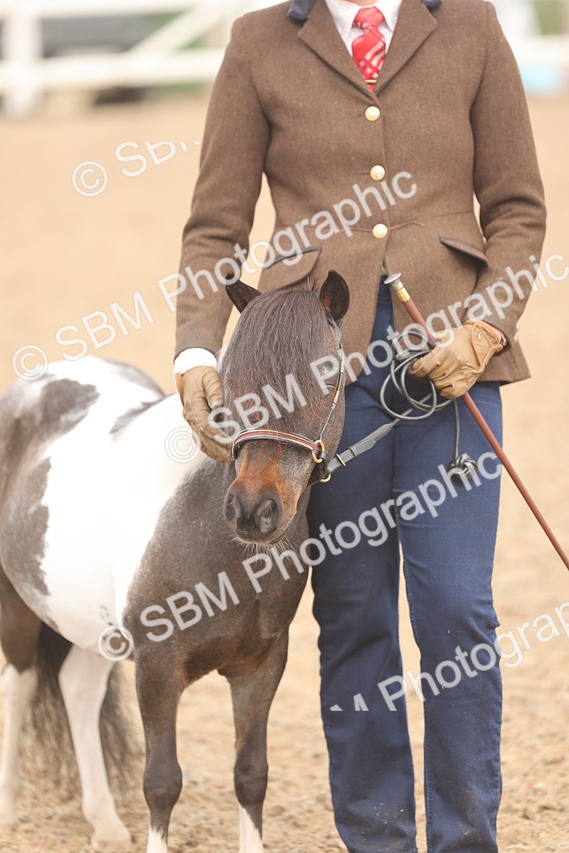 SBM_02104 - Class 15 - IH Coloured