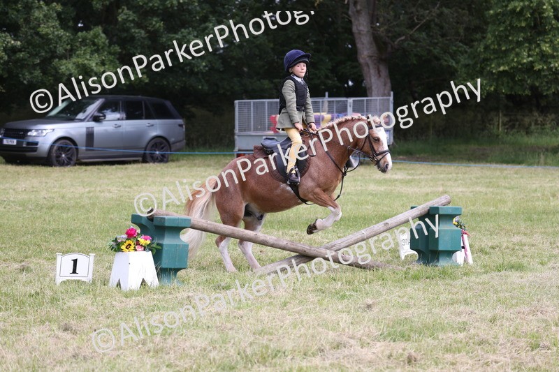 20260614-2029 - Class 21 - Novice Working Hunter Pony