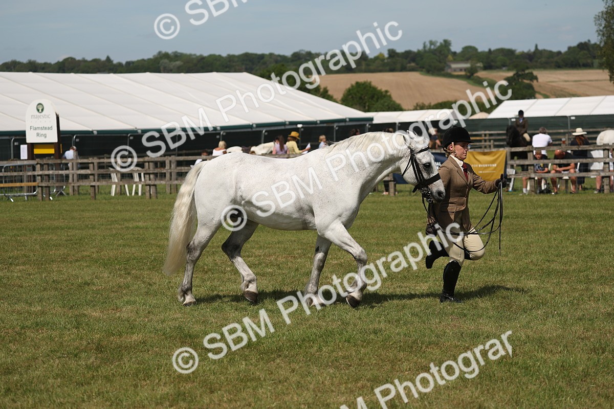 SBM_07629 - Class 26-30 - Mountain and Moorland Ridden