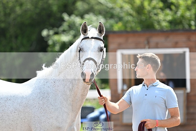 240717A-151724-02721 - Trot Up 3pm to 4pm