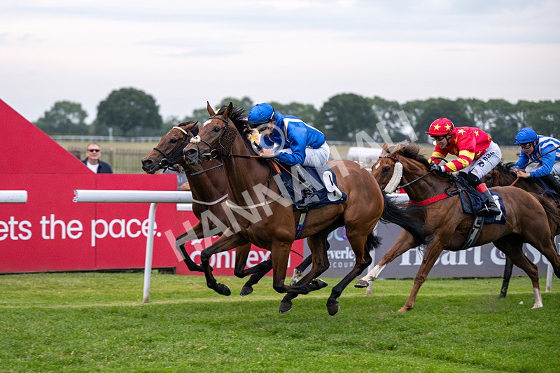 160626-Race 6-Regal Glory-5704 - Race 6 21.00pm Napoleons Casino And Restaurant Hull Handicap