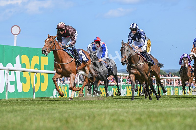 080624-Race 2-Perfect Part-7190 - Race 2