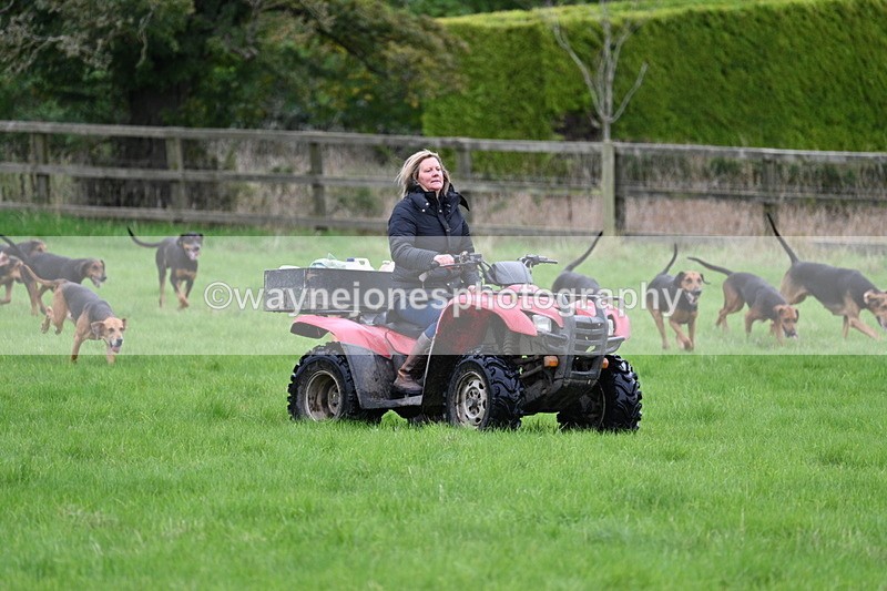 WJ7_4349 - Camera 1 Line 3