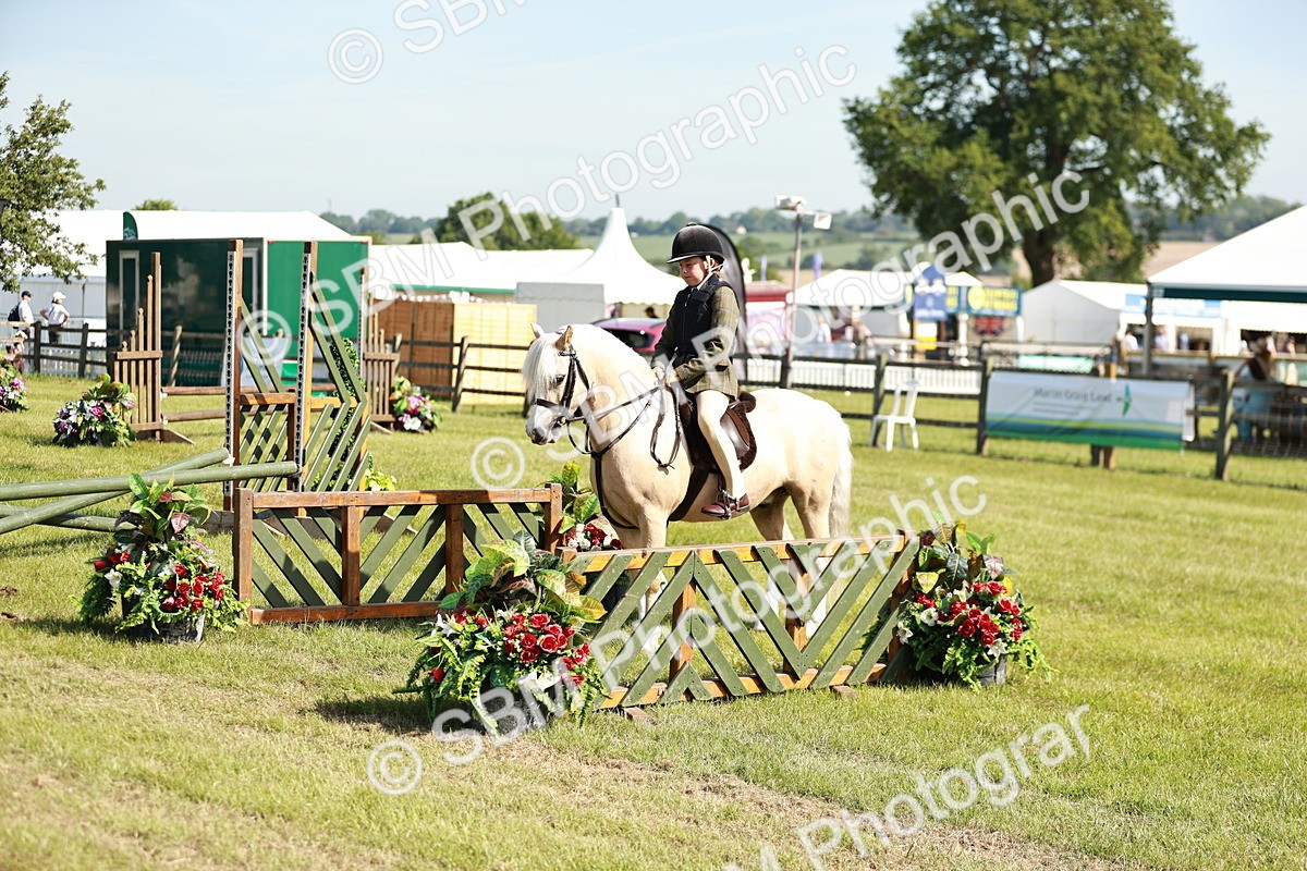 SBM_12665 - Class 106-107 - BSPS LIHS Working Sports Pony