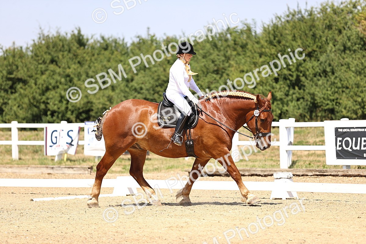 SBM_004137 - Intro 2